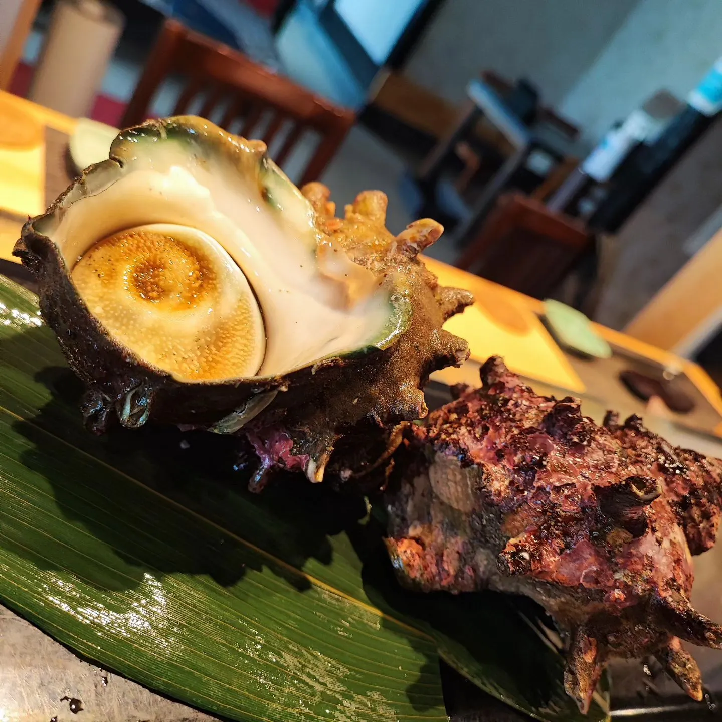 旬のサザエを堪能するなら美浜寿しへ