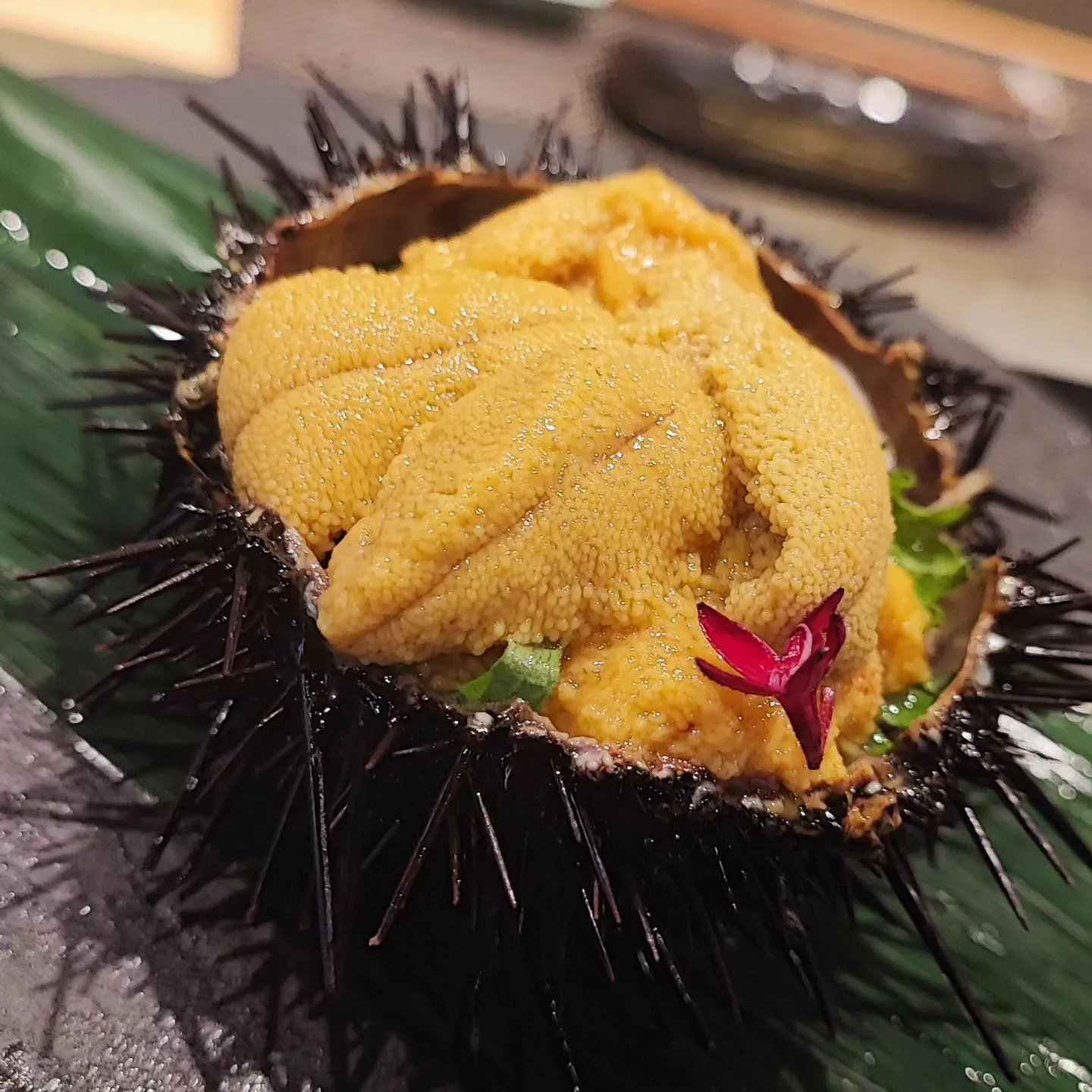 身詰まり良し！！