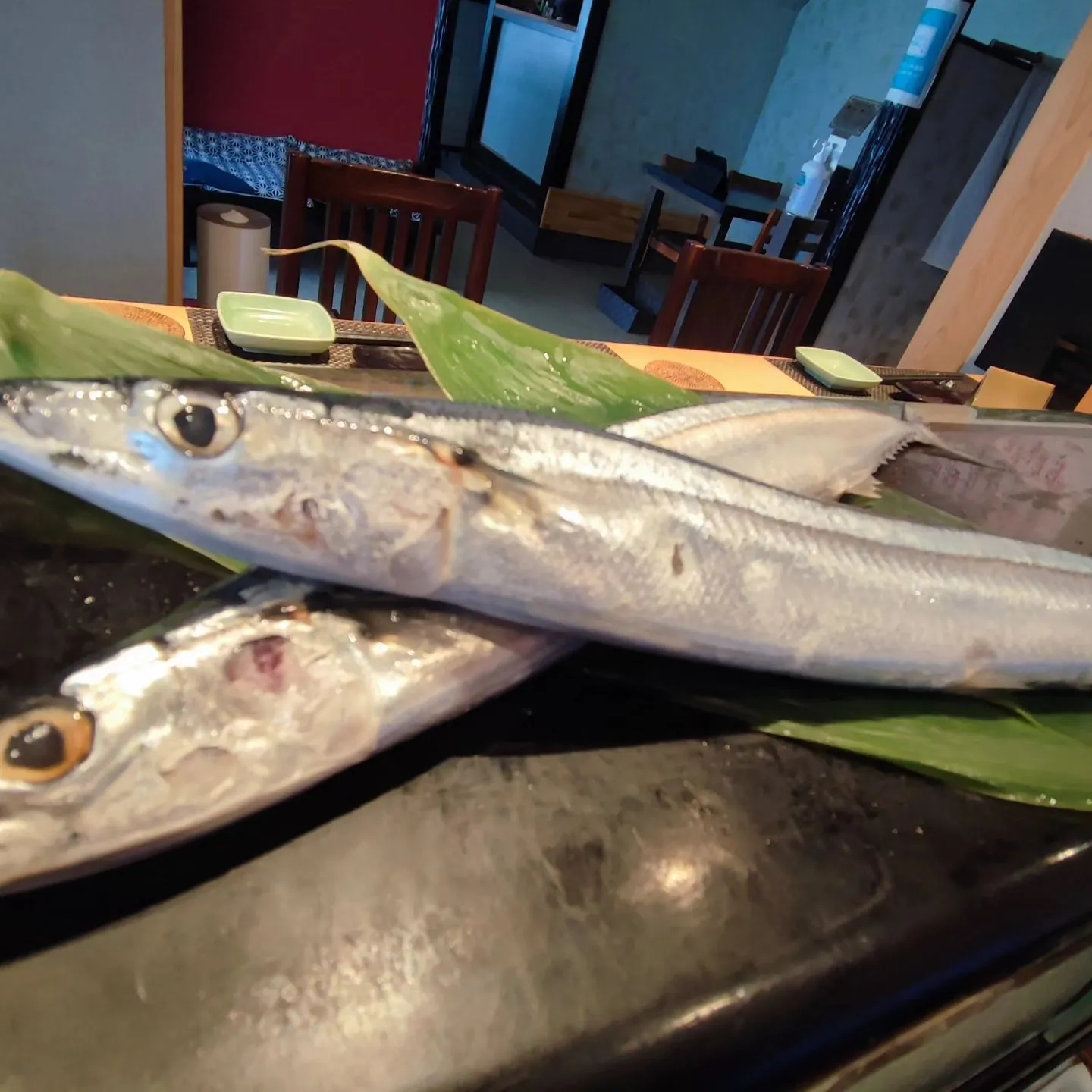 南房総の美浜寿しです