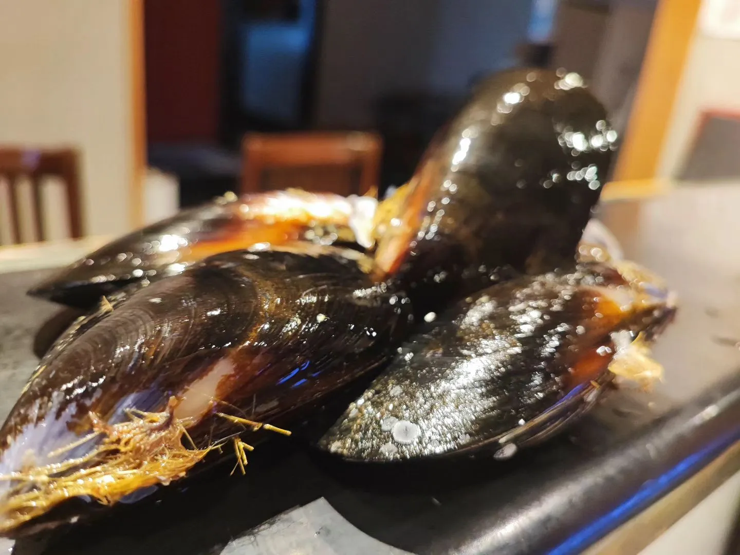 岩手より産直の超特大ムール貝