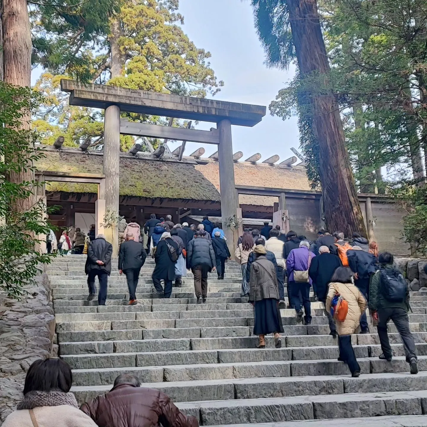 明けましておめでとうございます遅😅