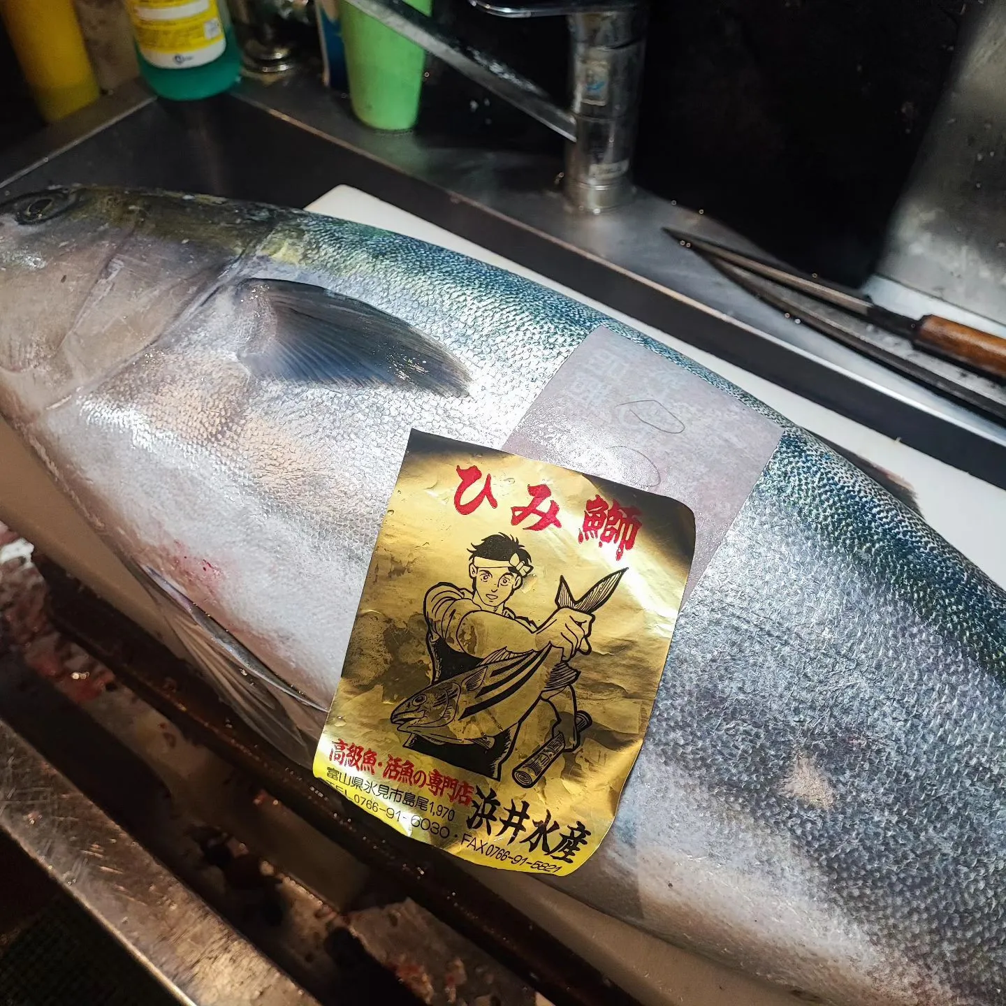 シーズン最後の氷見鰤。