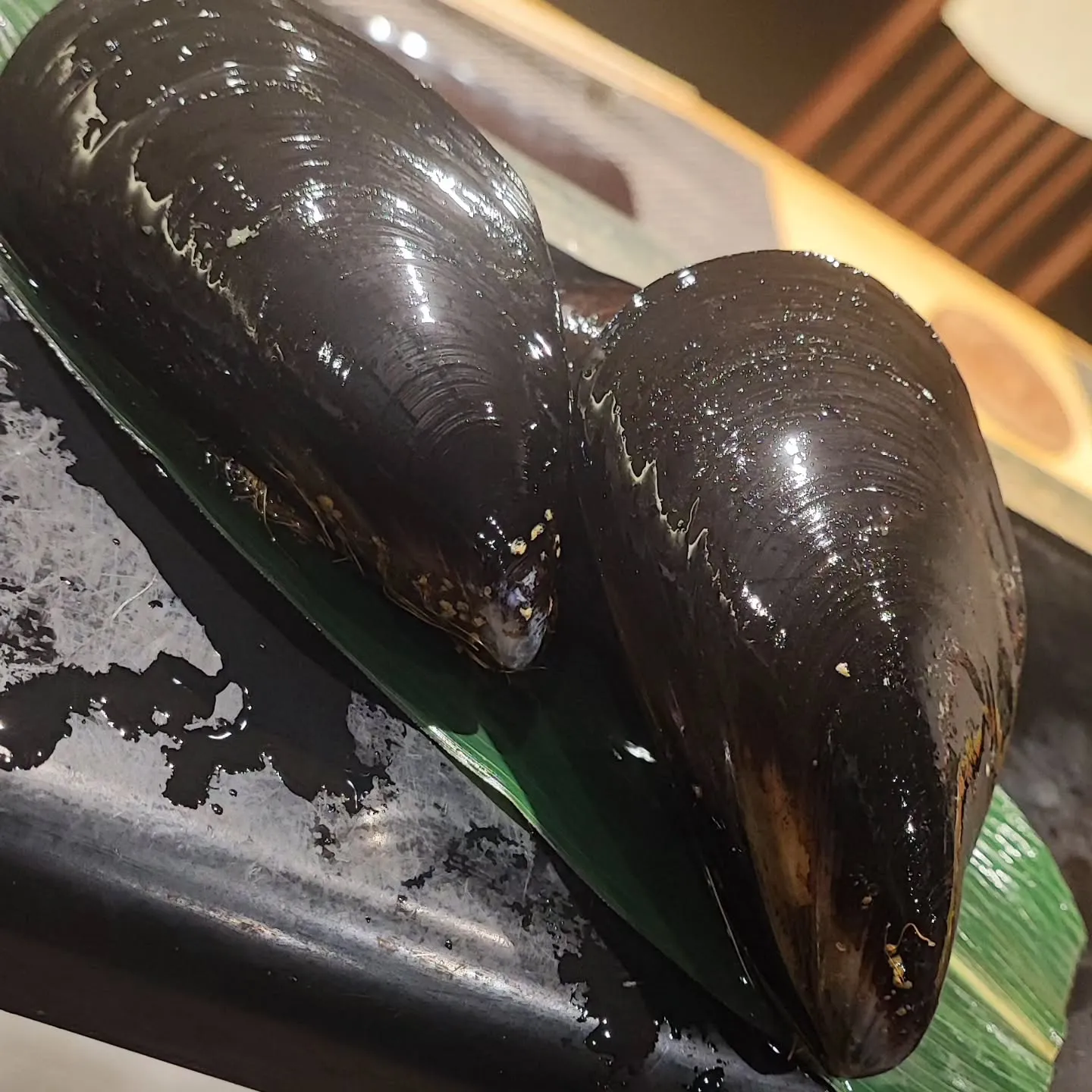 バカデカムール貝も入荷😘 