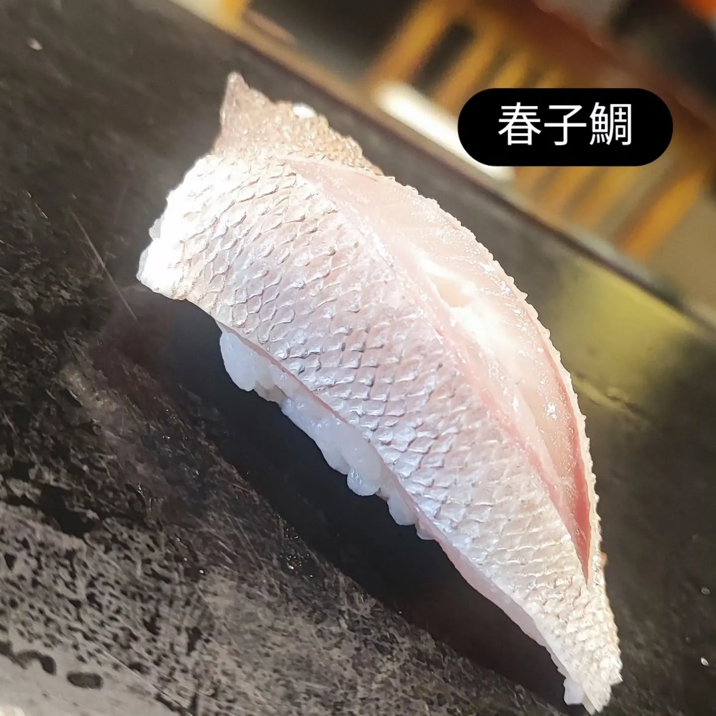 春の訪れを感じる一貫、