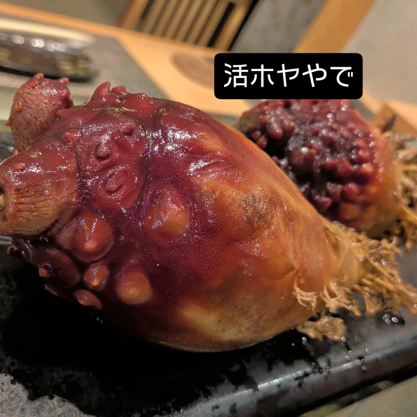 岩手より活ホヤ入荷！
