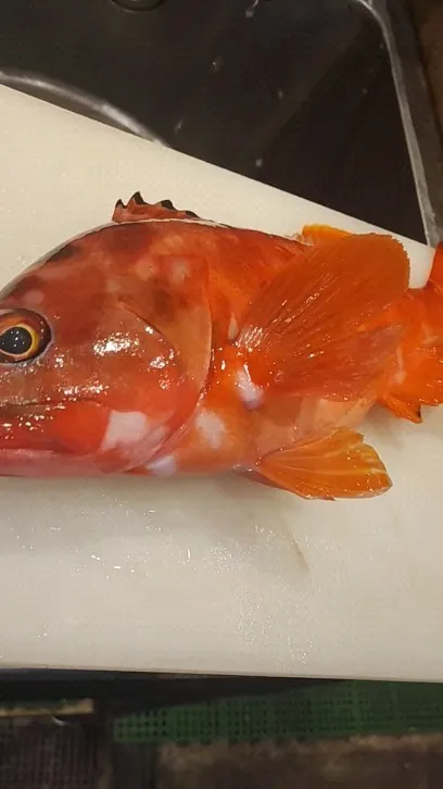 五日後に会いましょう！　寝かせに入りまーす😁