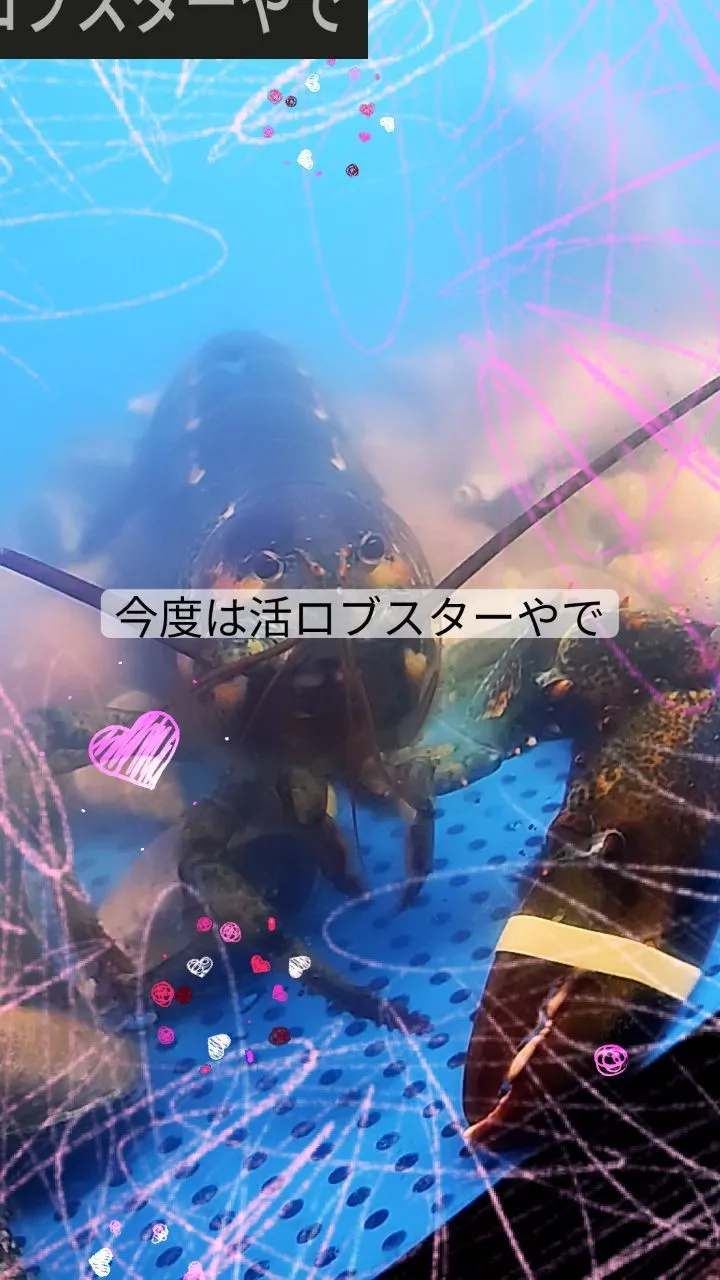 スチームでも良し、焼いてもヨシ😘