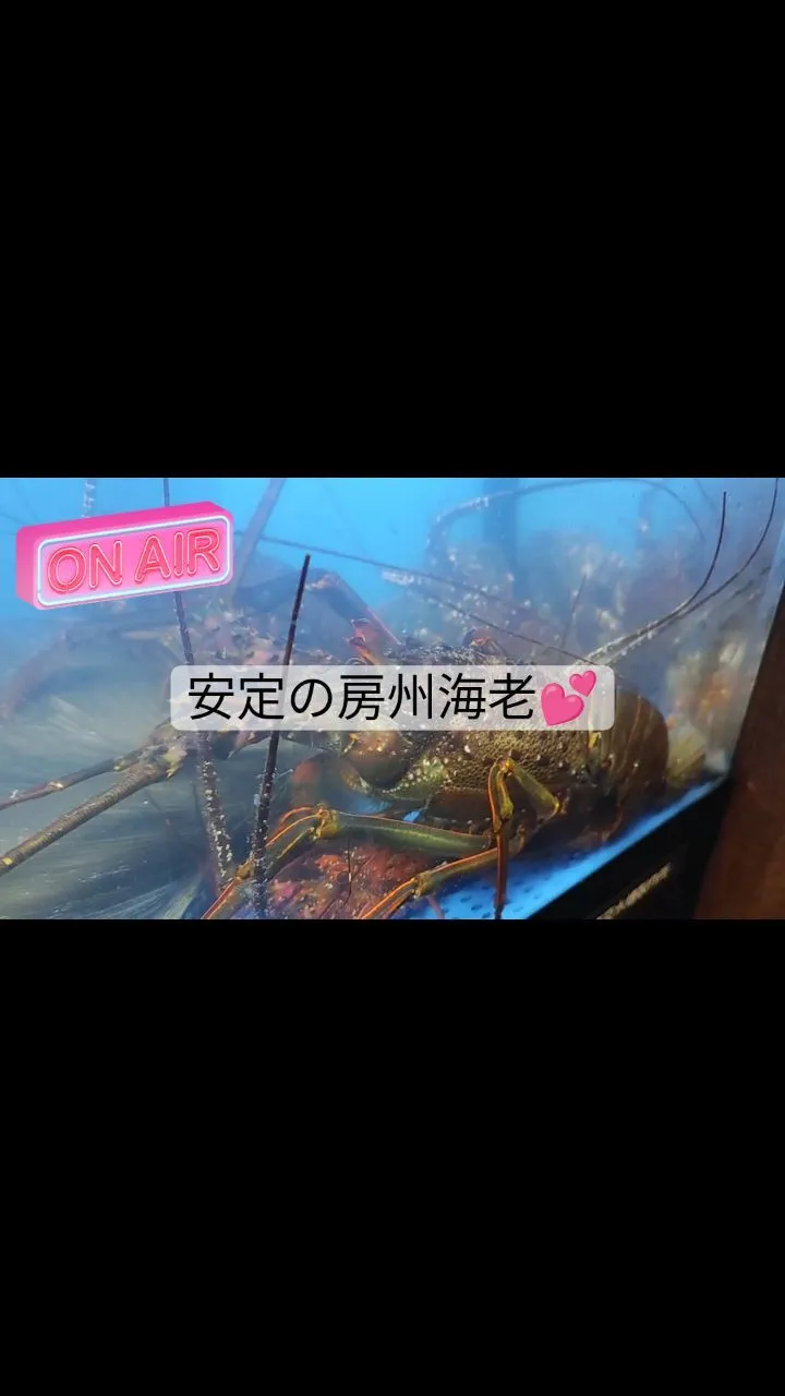 夏休み終わっても絶好調!