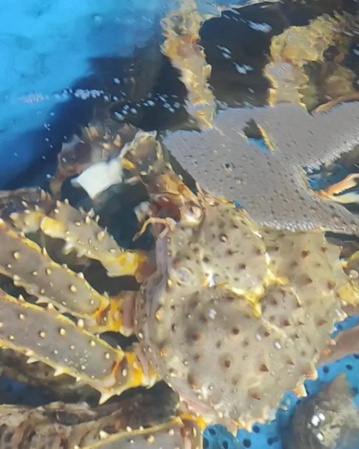 南房総の美浜寿しです。