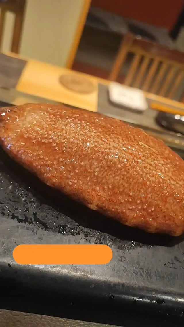 千葉県産活なまこ。