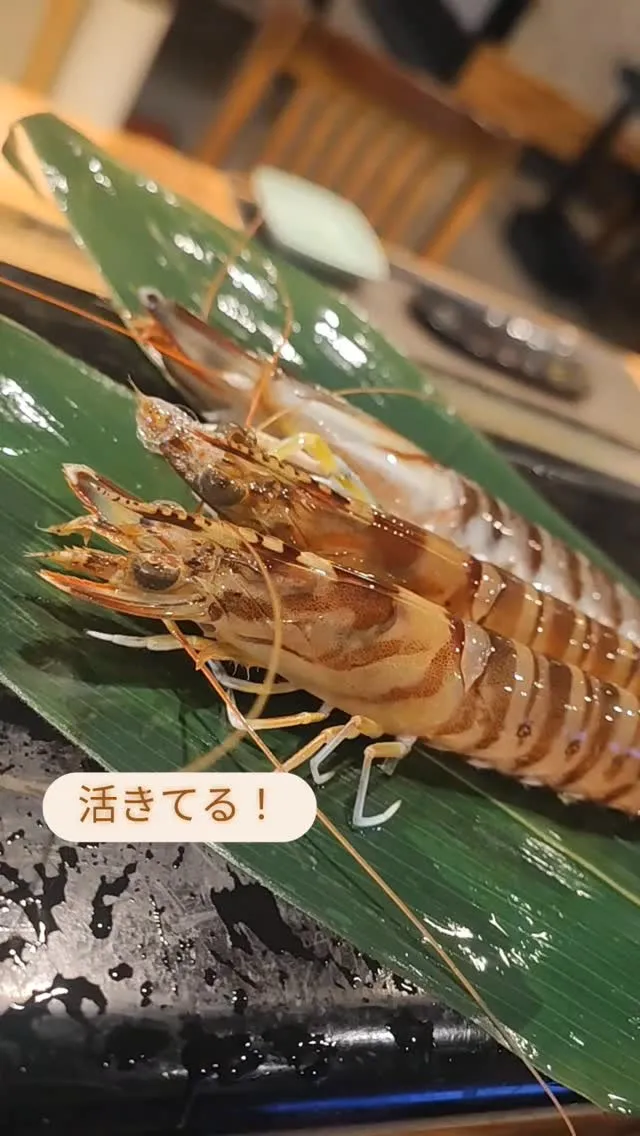 【活車海老🦐✨】刺身も焼きもおすすめ